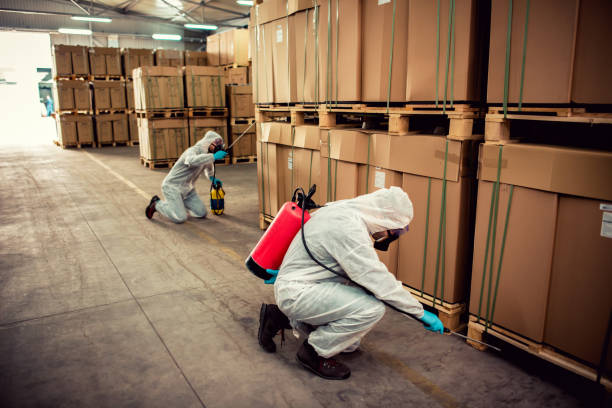 Best Flea Control Services  in Pollock Pines, CA