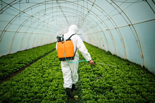 Pest Control Cost in Pollock Pines, CA