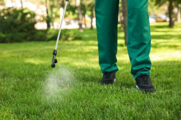 Professional Pest Control in Pollock Pines, CA