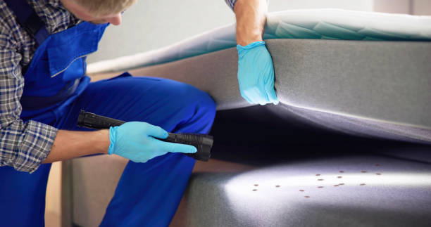 Best Affordable Pest Control Services  in Pollock Pines, CA
