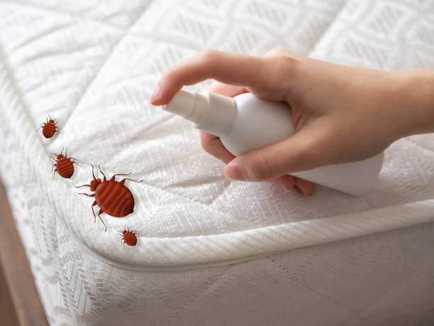 Best Pest Prevention Services  in Pollock Pines, CA