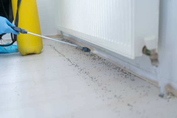 Best Best Pest Control Companies  in Pollock Pines, CA