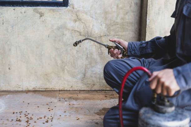 Best Local Pest Control Services  in Pollock Pines, CA