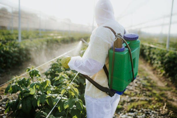 Best Best Pest Control Companies  in Pollock Pines, CA